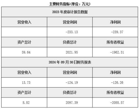 湖北信息系统安全技术服务公司转让项目