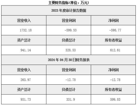 新疆水力发电公司转让项目