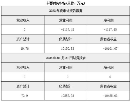 陕西火电厂投资公司转让项目