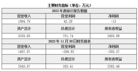 北京软件技术服务公司转让项目