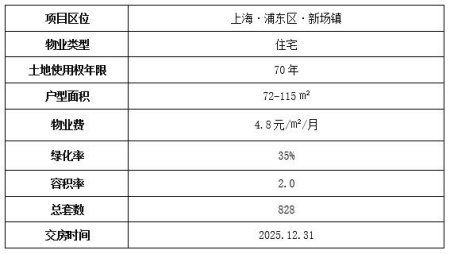 上海浦东新场住宅出售项目