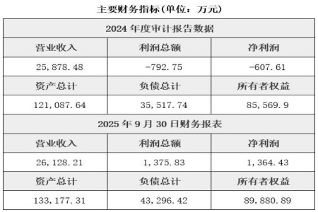 成都集成电路开发与技术咨询公司转让项目