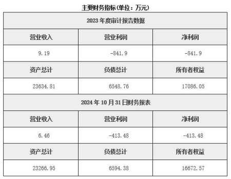 重庆沙坪坝区产业园运营公司转让项目