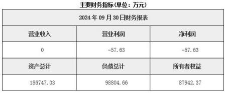 新疆新能源发电公司转让项目