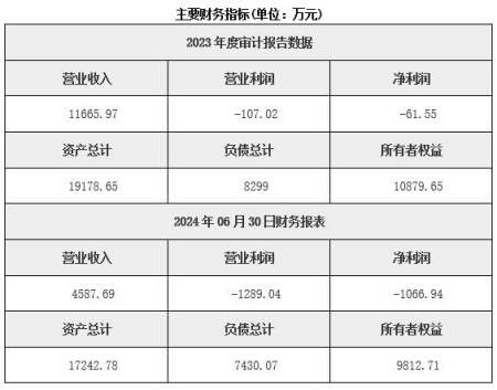 四川绵阳市印制电路板生产及服务公司转让项目